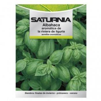 Basilic en Graines Aromatiques (5g)