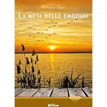 La meta delle emozioni e il mare dei sentimenti