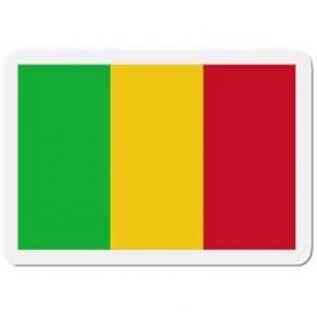 Synthetic Mali Flag Magnet Collection – 50 Units, 10cm, Multicolored