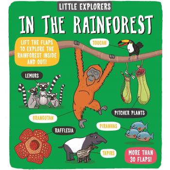 Little Explorers In the Rainforest by Dynamo Ltd.