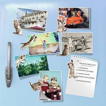 Amigos Gatunos en Forma de Imán