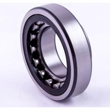 Cuscinetto a Rulli Cilindrici NU2214 ETVP2 – Interno 70 mm, Esterno 125 mm, Larghezza 31 mm