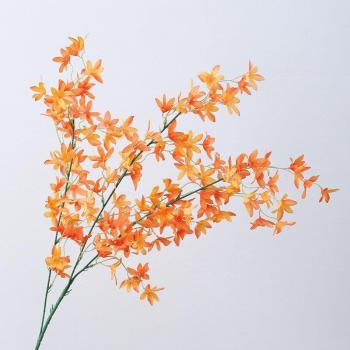 Accesorios de orquídea para el hogar