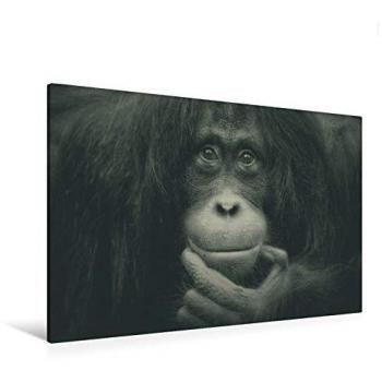 Premium Leinen-Canvas 120 cm x 80 cm Quer – THE MIRROR IMAGE
