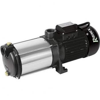 Ribiland Pompa di Superficie Alta Portata PRMCA5GD