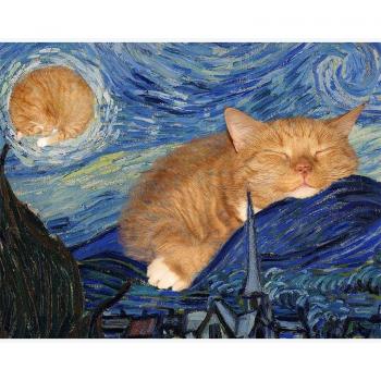Van Gogh Dreamscape Cat Embroidery Kit – 20 × 30 cm