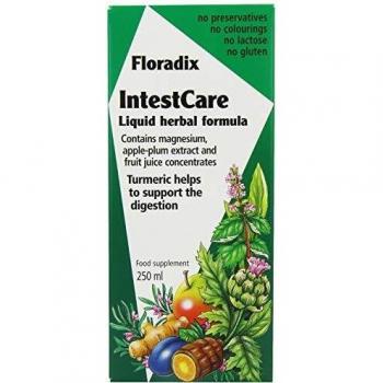 Floradix IntestCare 250ml