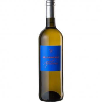 Quinta Apolonia 2022 V.T Castilla