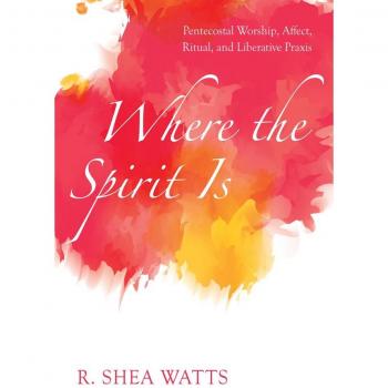 Vitalsource Technologies, Inc. Where the Spirit Is