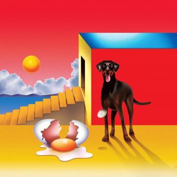 DOG AND THE FUTURE