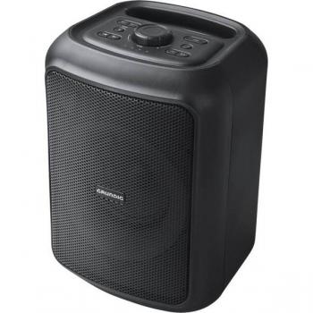 Enceinte sono DJ Grundig Partyhit Noir