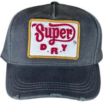Cappellino Superdry Graphic Vintage Trucker Grigio