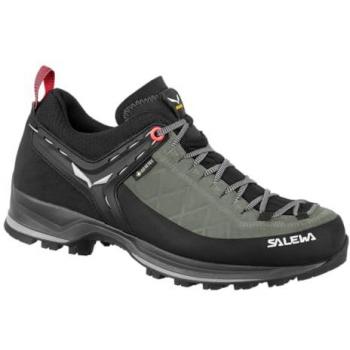Salewa WS Mtn Trainer Basses