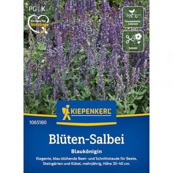 Kiepenkerl Blüten-Salbei