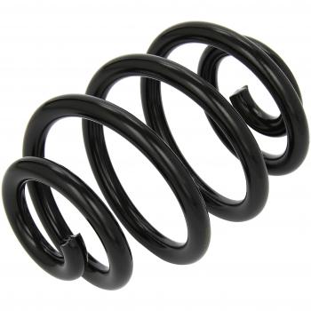 LESJOFERS Heavy Duty Rear Coil Spring 4208434