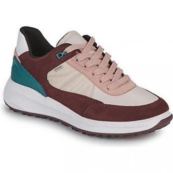 Zapatillas Geox D36VRA ABX Vino-Crema de Mujer