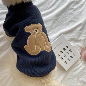 Charming Kitten Pullover for Small Dogs