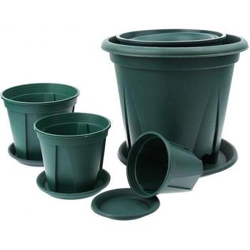 Succulent Plant Pot