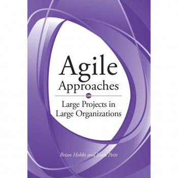 Agile Approaches on Large Projects in Large Organizations