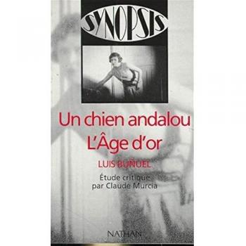 L'age D'or Et Un Chien Andalou Synopsis 17 (Fins d'Editions)