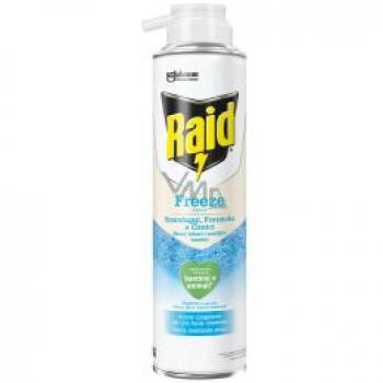 Raid Essentials Freeze