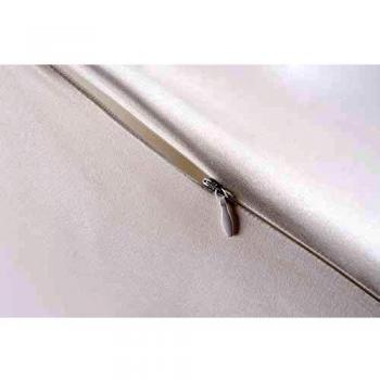 Federa in Seta 100% Naturale, ipoallergenico, 22momme, 600 Filati, 50x75cm, con Cerniera a Scomparsa