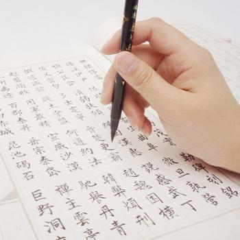 Double Point Stylo Pinceau CFW‑300 – Platine Calligraphique Scientifique