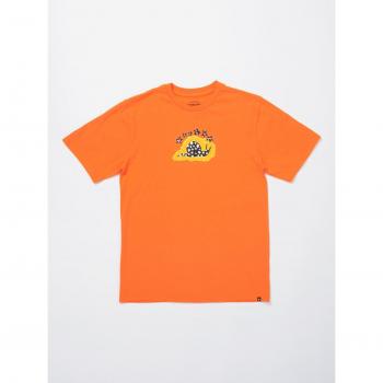 Kids' Volcom Balislow Tee in Carrot