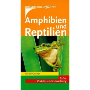 Amphibien und Reptilien