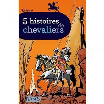 Emmanuel Viau 5 Histoires De Chevaliers