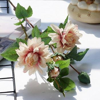 Robe de Mariage Dahlia