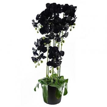 Lifelike Faux Orchid Floral Display in Black Pot 110cm H X 40cm W X 40cm D