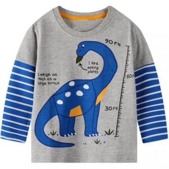 VIKITA Kids' Long Sleeve Dinosaur Graphic T-Shirt