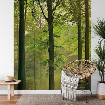 Tapisserie Panoramique Forêt Verdoyante