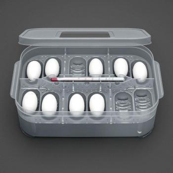 Tortoise and Turtle Egg Tray C42