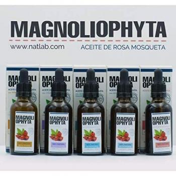 Magnoliophyta