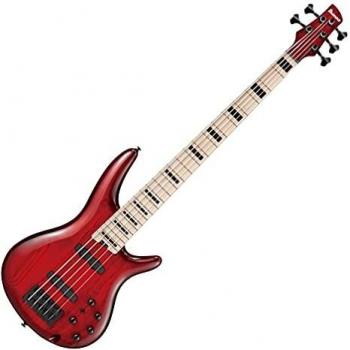 Ibanez ANB205TWB Adam Nitti Signature model 5-String inTranspa...