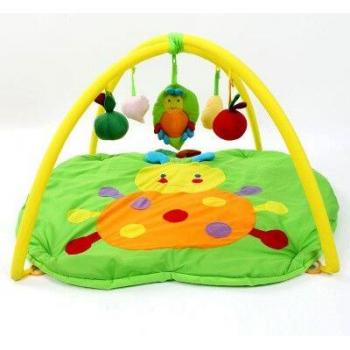 Developmental Baby Play Rug
