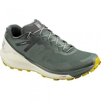 Salomon Sense Ride 3, Zapatillas de Correr Hombre, Gris