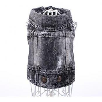 Tenue denim chiot
