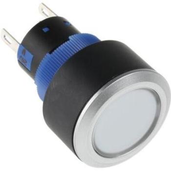 Bouton-poussoir lumineux LED blanc unipolaire à deux directions (1rt) 5 A transparent