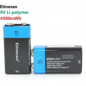 Batterie Lithium 9V Rechargeable Etinesan