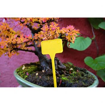 Nortene 35 cm Marca
