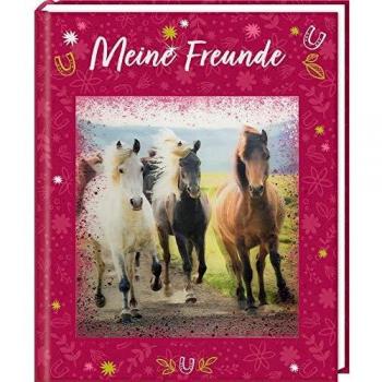 Freundebuch