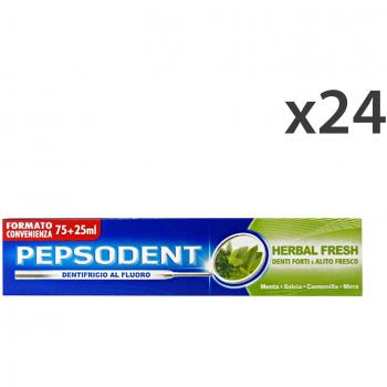 HerbMint PepsoDent 24 Pack Oral Hygiene