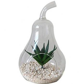 Terrarium poire 18 cm GLASSBOX