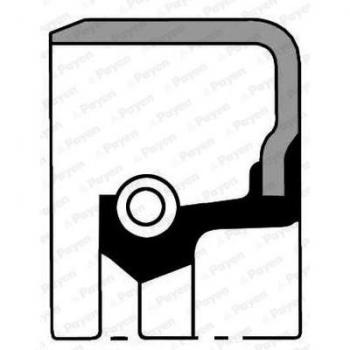 Sello de eje para cigüeñal PAYEN NB818