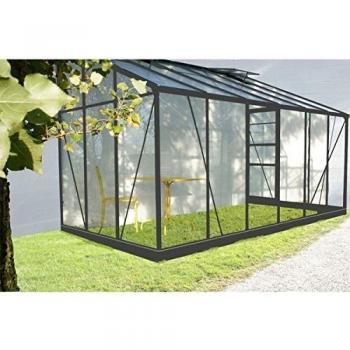 Serre en verre 9,6 m² avec base
