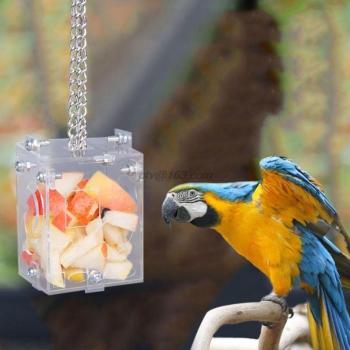 Acrylic Foraging Feeder for Birds