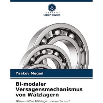 BI-modaler Versagensmechanismus von Wälzlagern: Warum fallen Wälzlager unerwartet aus?